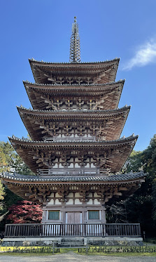 8.1 Free Daigoji Temple and Nanzenji Temple Morning Tour