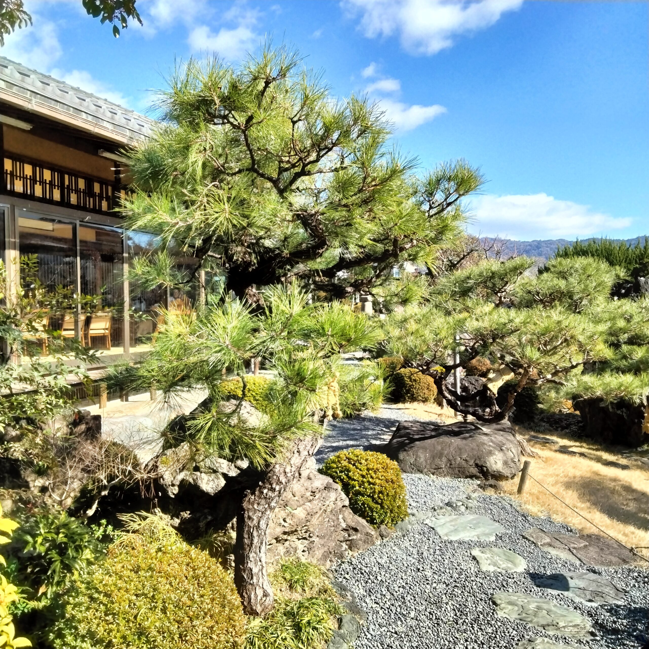 1.1With Maiko Japanese Cuisine for lunch